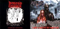 Putrefied Genitalia : Forced Self Castration - Post-Mortem Bloodshed
